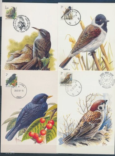 XE60235 Belgium 1990 -2001 animals fauna flora birds maxicards used