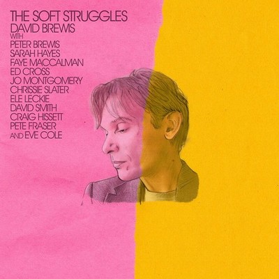 David Brewis - The Soft Struggles (Vinyl LP - 2023 - EU - Original)