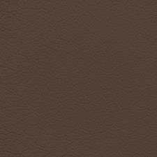 Nissan Brown Leather Dye