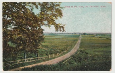 Winding Tree-lined Roadway Old Deerfield Massachusetts Postcard