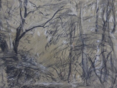 Eduard Steiner Kunstakademie München Kohlezeichnung Landschaft Waldstück (74)