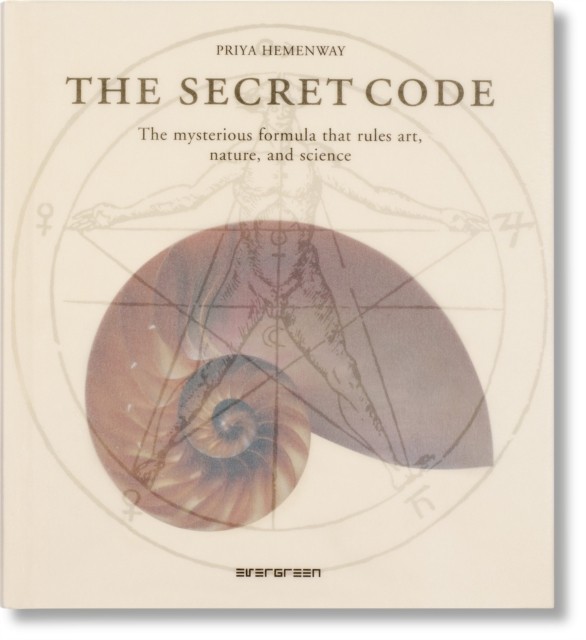 The Secret Code Priya Hemenway - Image 3