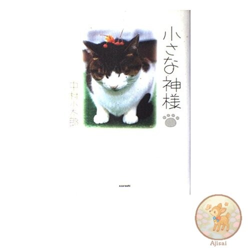 Book Used No Obi Little God