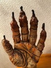 Bild 6 von 12