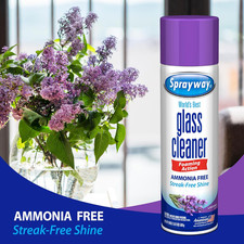 Glass Cleaner Lavender Scent Foaming Aerosol Spray, 19Oz, Pack of 6  Ammonia...