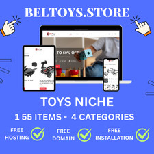 READY-MADE DROPSHIPPING Woocommerce Store - 265 Products - Toys niche
