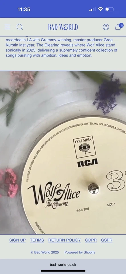 Wolf Alice - Flower Filled Vinyl -The Clearing - - Blood Records - Mint - Poster - Image 3 of 4