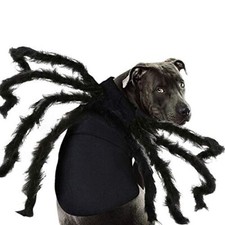 Large Dog Spider Costume