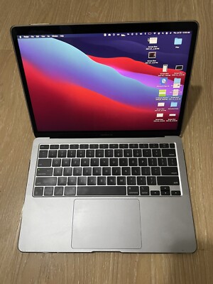 Apple 13
