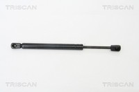 Triscan Heckklappen DäMpfer Gasfeder Kofferraum 8710 29259 FüR Audi A6 C6 4F2