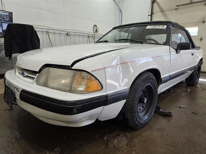 MUSTANG 1990 Front Door Trim Panel 576836 - Image 3 of 4