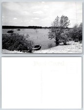 Horicon Marsh Wisconsin Gansos Canadienses en Agua Pato Caza RPPC Postal X911