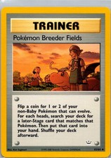 Pokemon TCG Pokémon Breeder Fields 62/64 Neo Revelation Cracked Ice Holo NM on eBay