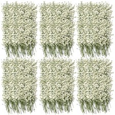 300 Pcs Dried Babys Breath Flowers Bulk Ivory White Babys Breath Real Pressed...