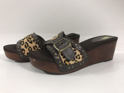 cheetah slides