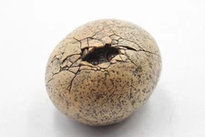 1994 Windstone Editions 94 Pena - Baby Dragon Hatching Egg Statue Figurine