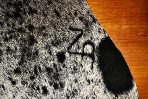 A Feature Packed Branded Mid Sized Speckle Park Salt & Pepper Cow Hide Rug - Foto 3 di 7
