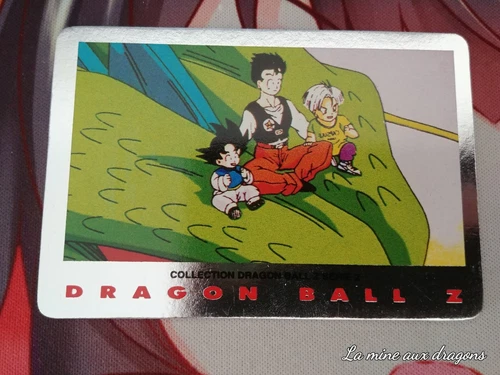 Carte Dragon Ball Z Serie Part 2 n° 23 card DBZ argent Silver Panini Gohan Goten