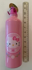 NEW Sanrio Hello Kitty Pink Stainless Steel Water Bottle - Zak Design