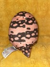 Squishmallows Desert Squad Roth the Brown Gila Monster Lizard Anthropomorphic 5” — photo 2