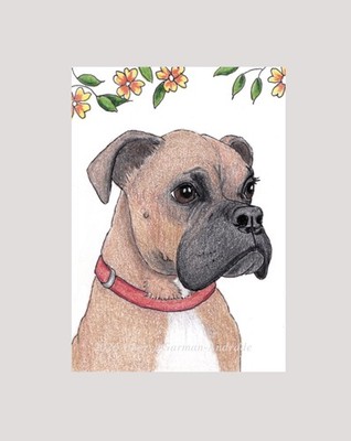ACEO Print Boxer Dog Pet Portrait Illustration by Cheryl Andrade
