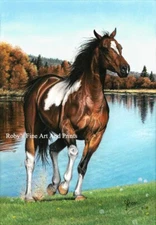 Limited Edition Paint Horse "Foot Loose" Wildlife Art Print By Roby Baer PSA