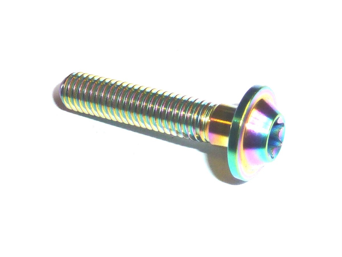 RAINBOW M6 x 25 Fairing Titanium Low Profile T30 Torx Washer Head