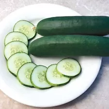 Slice More Hybrid Cucumber Seeds (25+ Seeds)