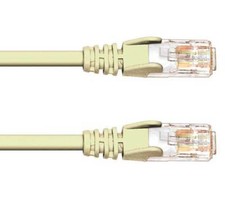 50M CAT6 UTP PATCH CABLE - STANDARD
