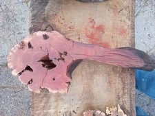 Custom Manzanita Stake Slice