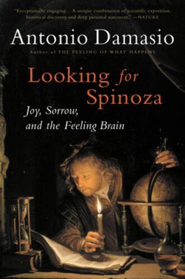 Looking for Spinoza: Joy, Sorrow, and the Feeling Brain - Paperback - VERY GOOD