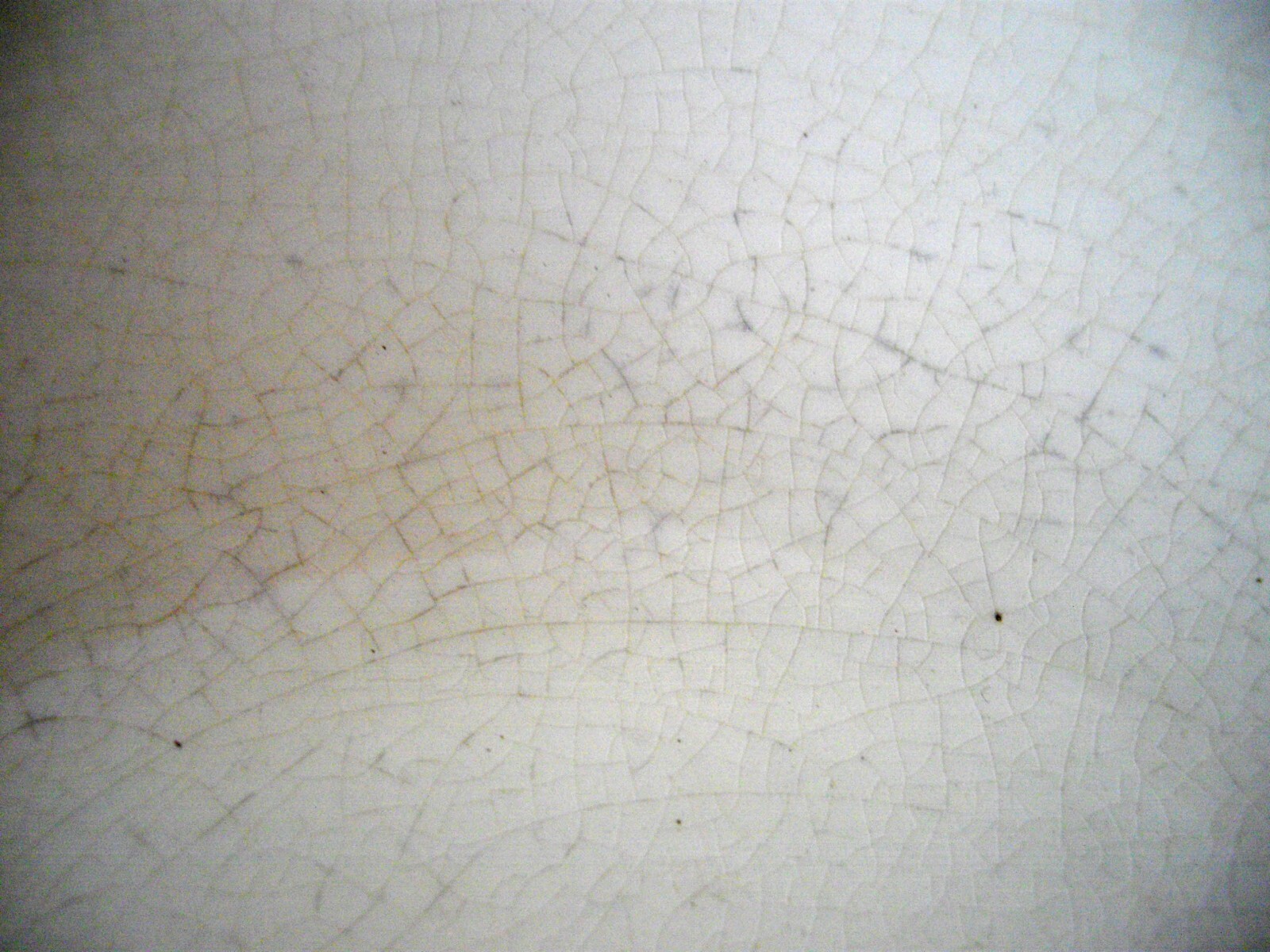 Picture 8 of 16