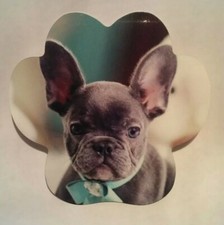 Blue French Bulldog Puppy Photo Dog Paw Metal Refrigerator Magnet Made in USA
