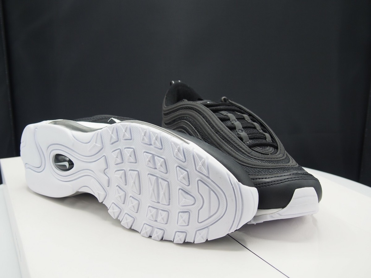 air max nocturnal animal