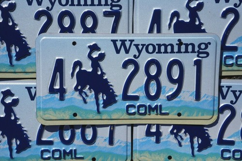 ONE or MORE Embossed WYOMING License Plate Plates - Nice Quality Original - 第 1/3 張圖片