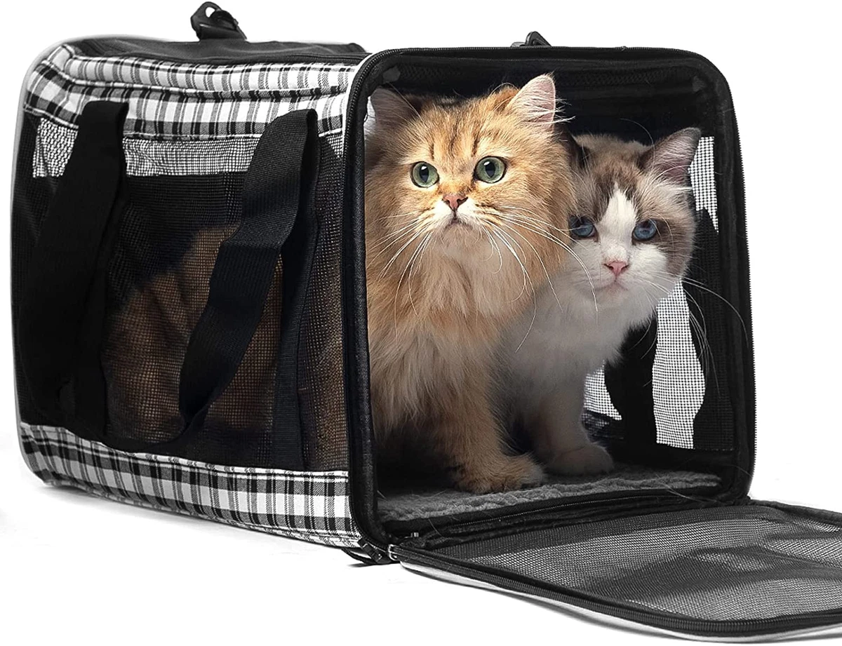 Large Cat Carrier for 2 Cats, Soft-Sided Pet Carrier for Cat,Top Load Cat  Carrie