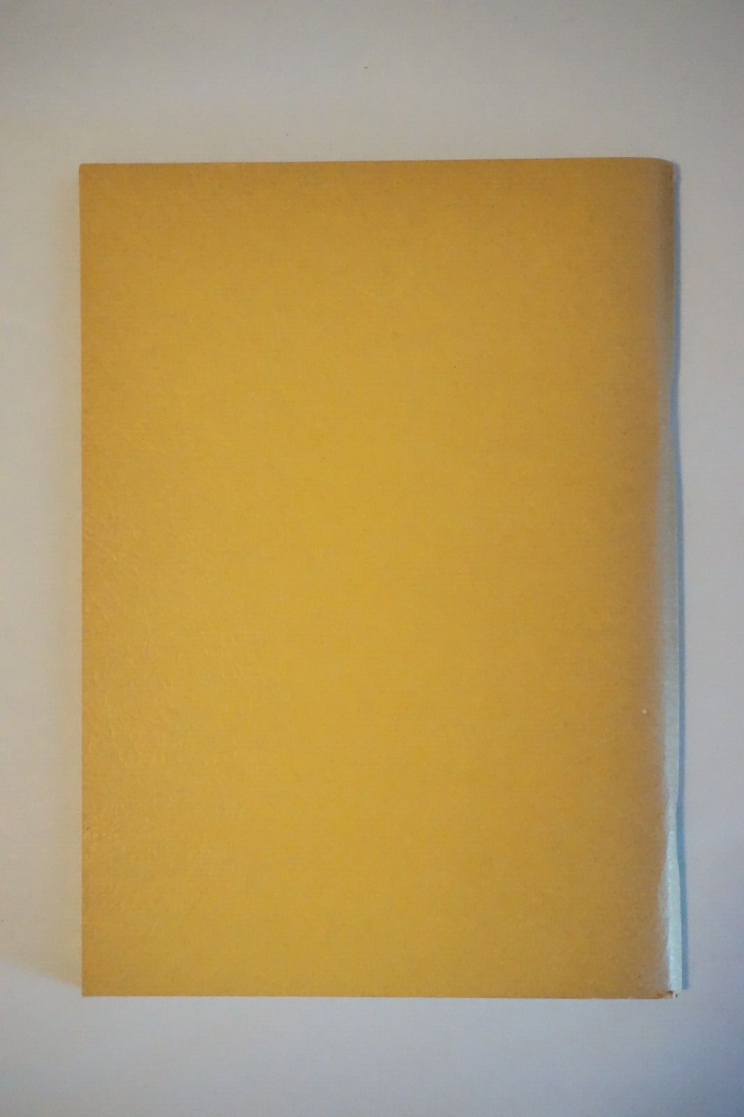 Picture 9 of 10