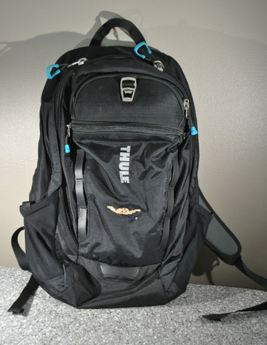 Thule Sweden Enroute Strut 18” Daypack Backpack Laptop Adjustable Cushioned