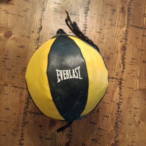 Everlast Speed Ball Boxing Fitness Double End Striking Punching Kicking Home Gym
