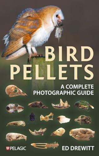 Bird Pellets by Ed Drewitt PAPERBACK - Image 3