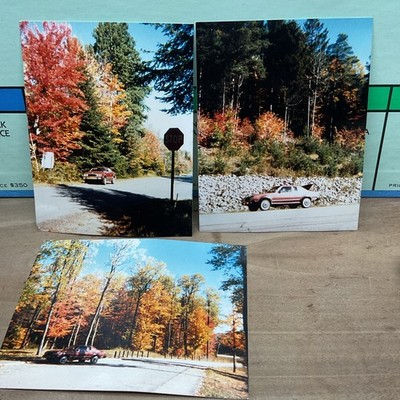 1980s Photo Snapshot AMC Eagle Car Fall Foliage Cranberry Park Ny Stop Sign B45
