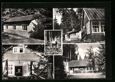 Neustadt/Rstg., Scenes from the children's holiday camp, postcard