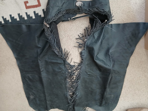 Black split cowhide smooth show chaps with sterling buckle and concho