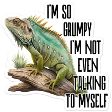 Grumpy Iguana - Vinyl Decal Sticker - Car Window Laptop - ebn9892