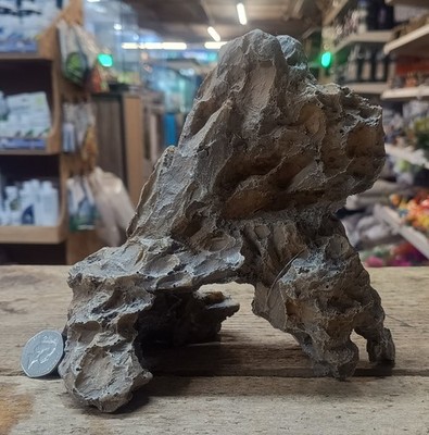 Drachen Stein Ornament Aquarium Schwimmen durch Aquarium Vivarium Reptil Deko
