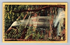 Discovering Inclusive Comfort: A Deep Dive into Accessibility Features at Hampton Inn Gatlinburg 18 Gatlinburg TN-Tennessee, Rainbow Falls, Great Smoky Mountains Vintage Postcard