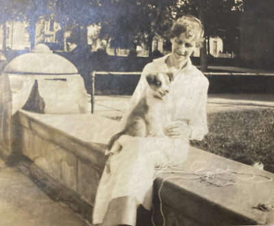 1910s Woman with Small Dog Puppy Pet on Her Lap Sidewalk Original Photo P14g11
