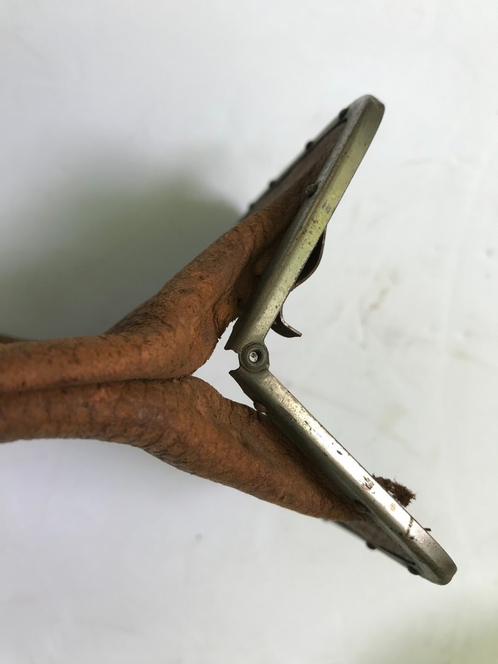 Mother's Bread, Sunbury Baking Co. ButterKrust?, Sunbury, PA