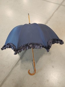 Brigg Umbrella | eBay