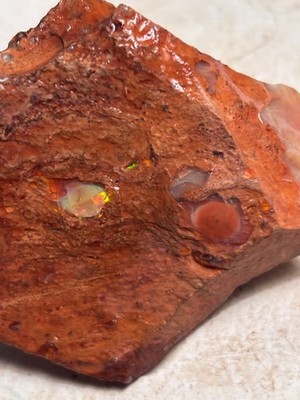 Multiple Mexican Jelly Opals in Rhyolite Lapidary/Display 81g (MJ3026)